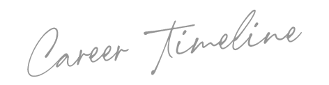 career-timeline